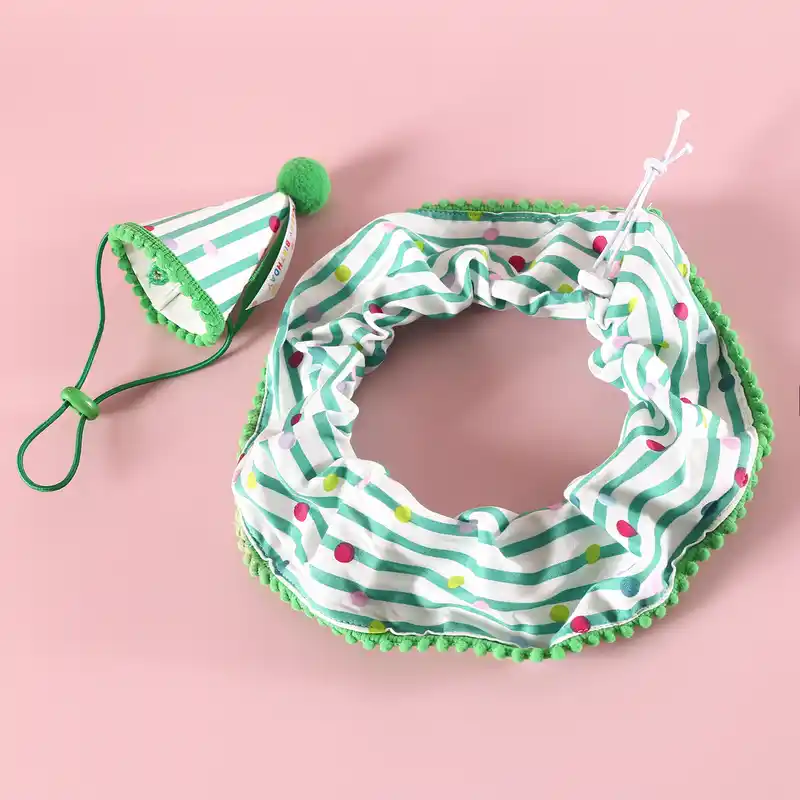 pet-collar-915-1644- (5)